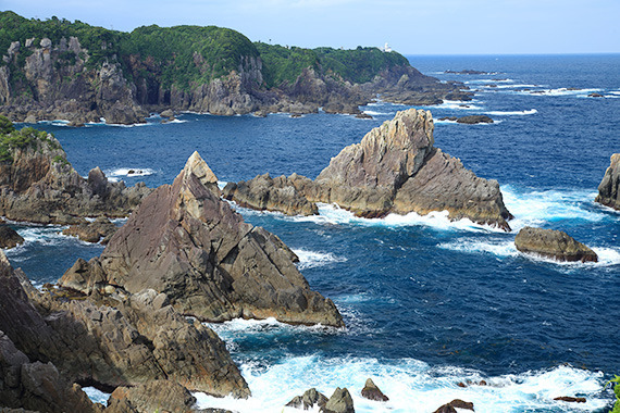 展望台から見た海金剛