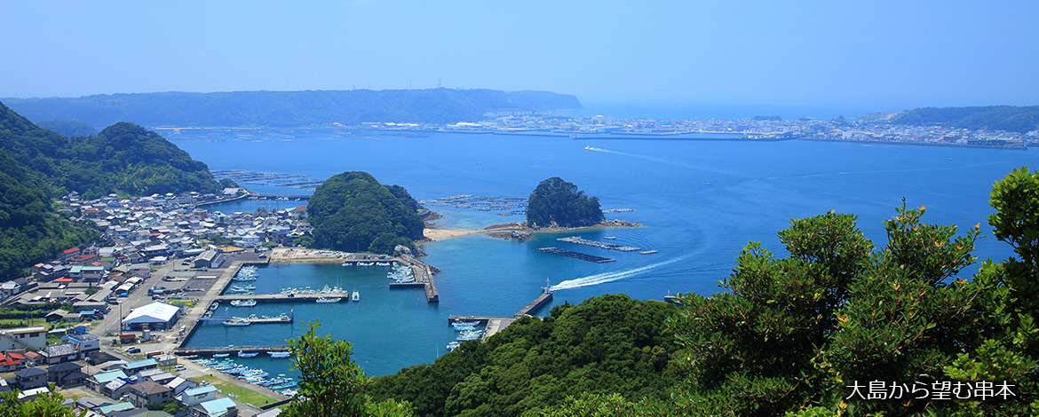 大島から望む串本